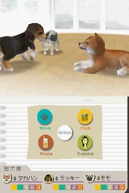 Nintendogs Lab & Friends - (NDS) Nintendo DS [Pre-Owned] (European Import) Video Games Nintendo   