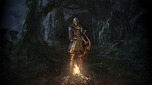 Dark Souls: Remastered - (NSW) Nintendo Switch [Pre-Owned] Video Games BANDAI NAMCO Entertainment   