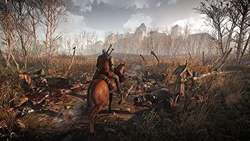 The Witcher 3: Wild Hunt - (PS4) PlayStation 4 Video Games BANDAI NAMCO Entertainment   