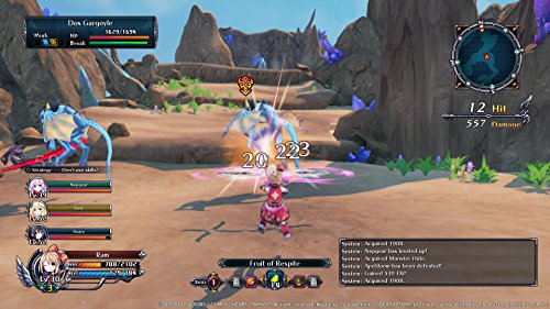 Cyberdimension Neptunia: 4 Goddesses Online - (PS4) Playstation 4 [Pre-Owned] (Japanese Import) Video Games SEGA   