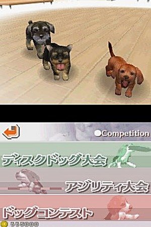 Nintendogs Lab & Friends - (NDS) Nintendo DS [Pre-Owned] (European Import) Video Games Nintendo   