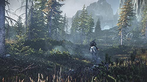 The Witcher 3: Wild Hunt - (PS4) PlayStation 4 Video Games BANDAI NAMCO Entertainment   