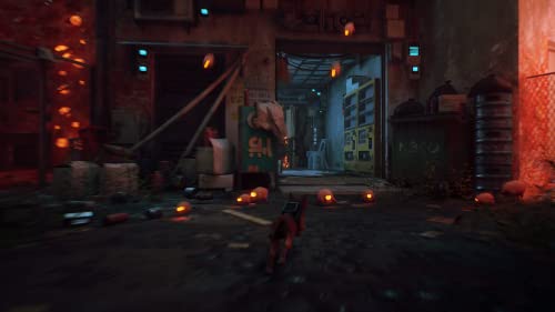 Stray - (PS5) PlayStation 5 Video Games iam8bit   