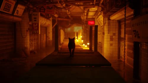 Stray - (PS5) PlayStation 5 Video Games iam8bit   