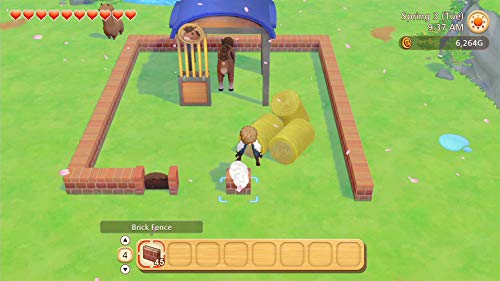 Story of Seasons: Pioneers of Olive Town (Premium Edition) - (NSW) Nintendo Switch Video Games XSEED Games   