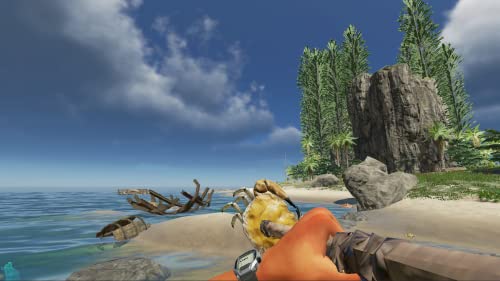 Stranded Deep - (NSW) Nintendo Switch Video Games Beam Team   