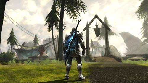 Kingdoms of Amalur: Re-Reckoning - (NSW) Nintendo Switch Video Games THQ Nordic   