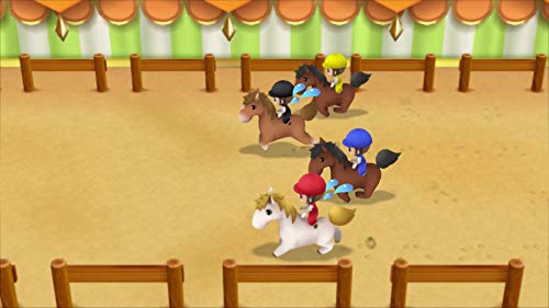 Story of Seasons: Friends of Mineral Town - (NSW) Nintendo Switch Video Games XSEED Games   