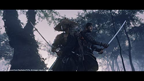 Ghost of Tsushima - PlayStation 4 Video Games Playstation   