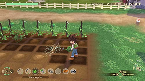 Story of Seasons: A Wonderful Life - (NSW) Nintendo Switch Video Games XSEED Games   