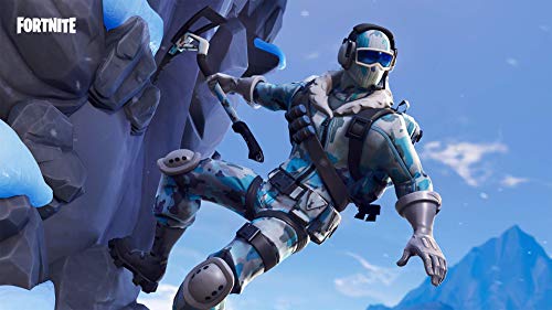 Fortnite: Deep Freeze Bundle - (PS4) PlayStation 4 Video Games WB Games   