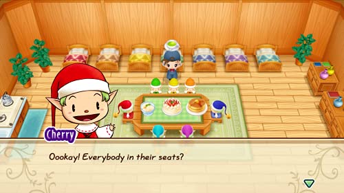 Story of Seasons: Friends of Mineral Town - (PS4) PlayStation 4 Video Games Xseed   