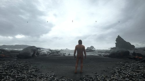 Death Stranding - PlayStation 4 Video Games Sony   