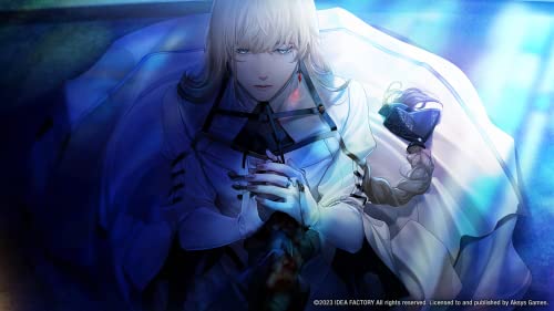 Virche Evermore -Error: Salvation- - (NSW) Nintendo Switch Video Games Aksys   