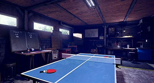 VR Ping Pong Pro (PlayStation VR) - (PS4) PlayStation 4 Video Games Merge Games   