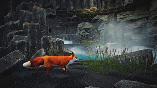 Spirit of The North - (PS5) PlayStation 5 Video Games Merge Games   