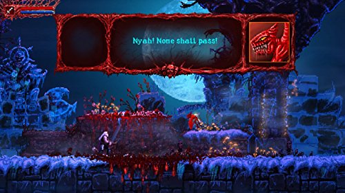 Slain: Back From Hell - (NSW) Nintendo Switch [Pre-Owned] Video Games Merge Games   