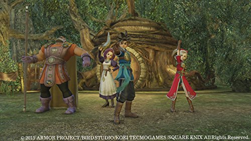 Dragon Quest Heroes: The World Tree's Woe and the Blight Below (Collector's Edition) - (PS4) PlayStation 4 Video Games Square Enix   