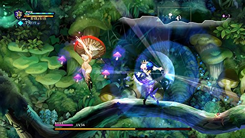 Odin Sphere: Leifdrasir - (PS3) PlayStation 3 (Japanese Import) Video Games Atlus   