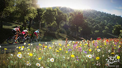 Tour De France: Sesaon 2019 - (XB1) Xbox One [Pre-Owned] Video Games Bigben Interactive   