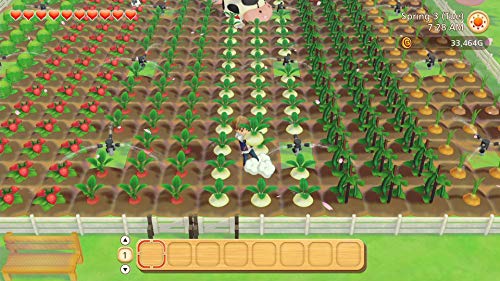 Story of Seasons: Pioneers of Olive Town (Premium Edition) - (NSW) Nintendo Switch Video Games XSEED Games   