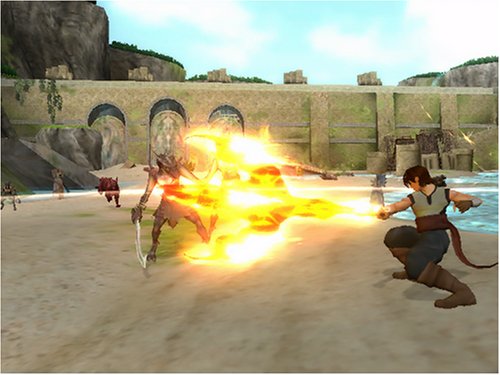 Dragon Blade: Wrath Of Fire - Nintendo Wii Video Games D3 Publisher   