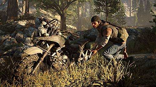 Days Gone Collector's Edition - PlayStation 4 Video Games Playstation   