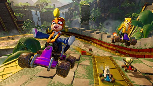 Crash Team Racing: Nitro Fueled - (PS4) PlayStation 4 Video Games Activision   