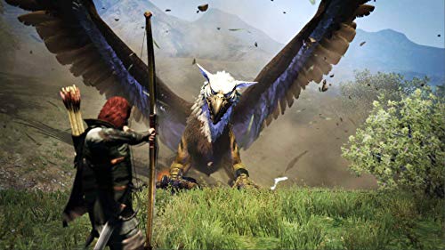 Dragon's Dogma: Dark Arisen - (NSW) Nintendo Switch Video Games Capcom   