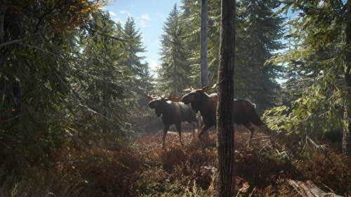 The Hunter: Call of the Wild - (PS4) PlayStation 4 [Pre-Owned] Video Games THQ Nordic   